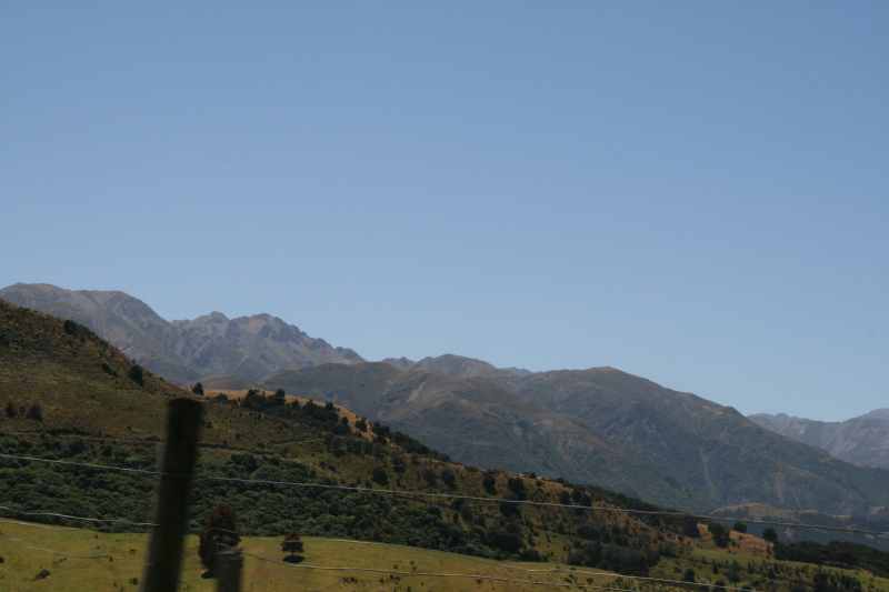 Nieuw-Zeeland 2011 - 1261